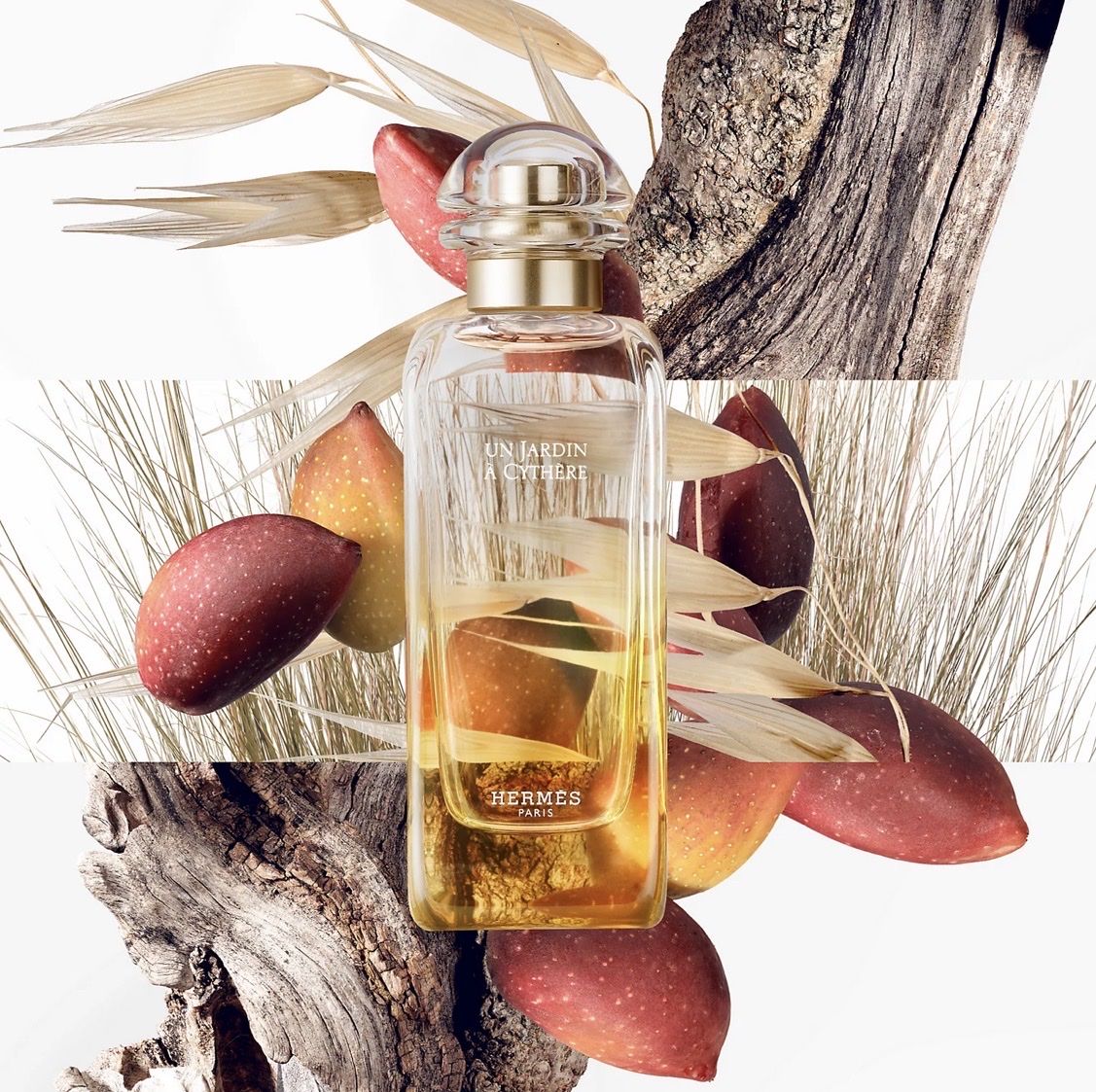 Hermès Profumi & Eau de Toilette: HERMÈS Jardin à Cythère 7,5ml plus zwei gratis Proben – Nuovo e nell'imballaggio originale da Steffisburg venduto da ThymusVulgaris 4