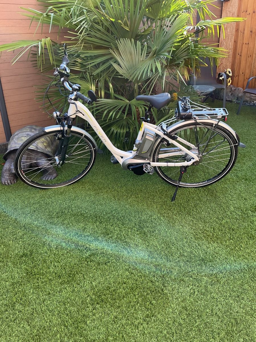 Flyer Biciclette: Fleyer E Bike ab Service  – Usato da Oberbuchsiten venduto da Tesin3