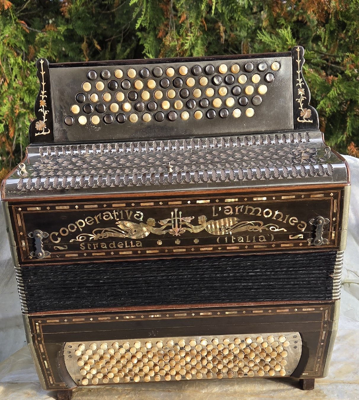 Instruments de musique: Accordéon Stradella notes de bronze – D'occasion à Penthalaz par EvandroLuz 2