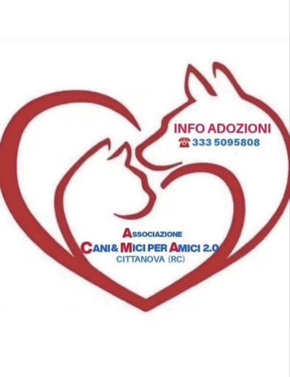Radios: Nokia FM Radio – D'occasion à Chur par Knokno199 5