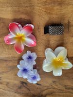 Set Haar Spange NEU