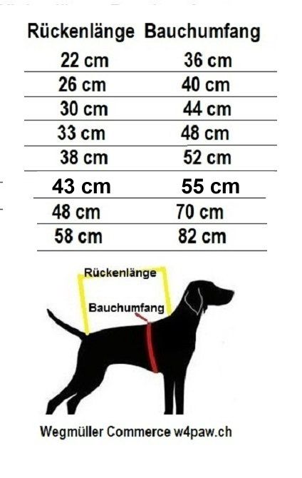 kratzbaum fr ltere katzen Katzenbaum fr Katzen stabil mit Sisal-Kratzstangen