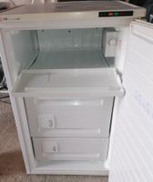Gefrierschrank LG GF-161SSF
