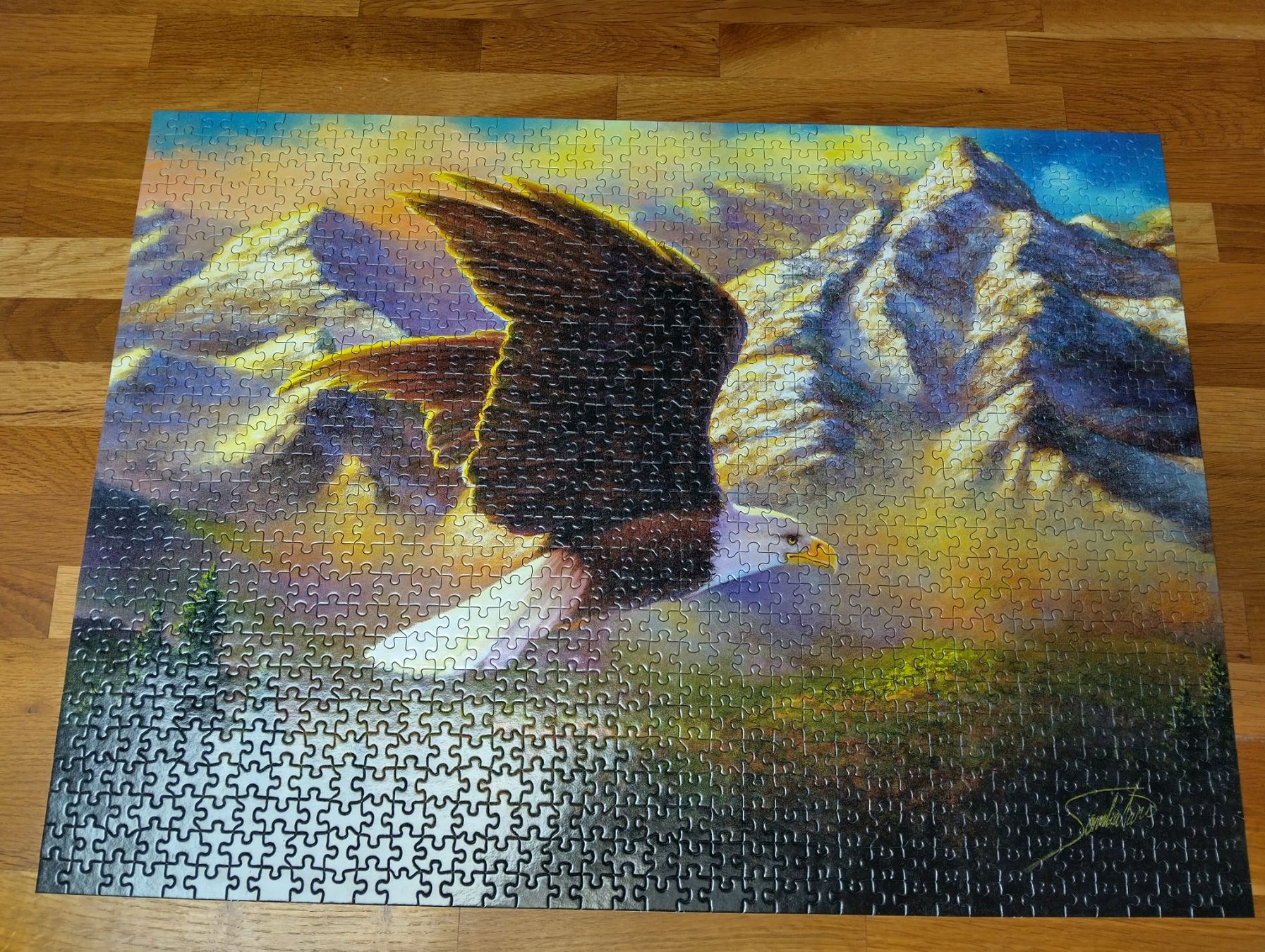 Puzzle: 1000er Puzzle, Jigsaw, Flying High – Nuovo (secondo la descrizione) da Full-Reuenthal venduto da Ilor0309 1