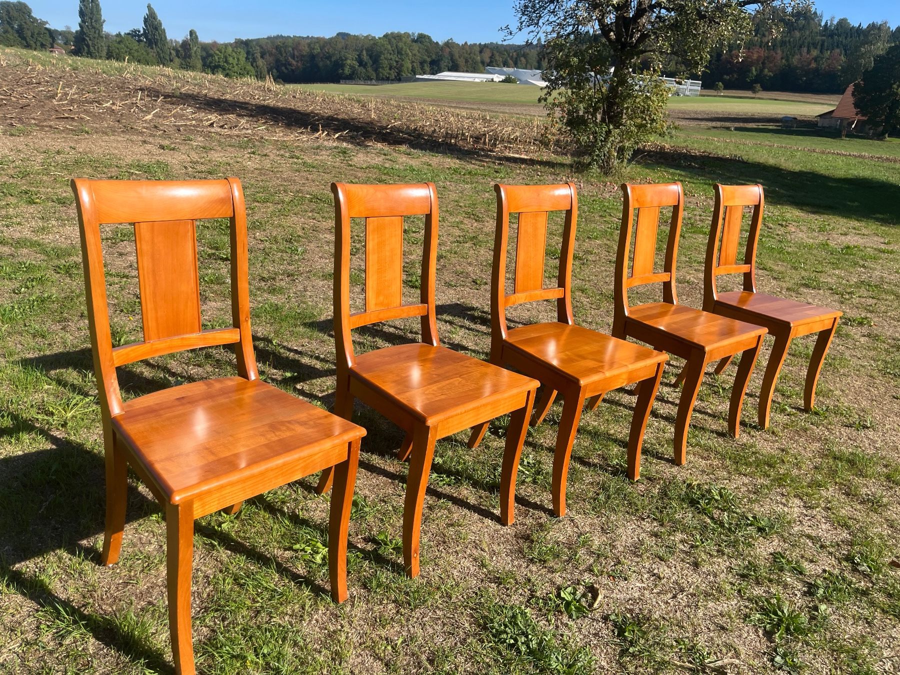 Stühle: 5 Stühle Nussbaum Massiv – Gebraucht aus Allmendingen b. BE von juair 1
