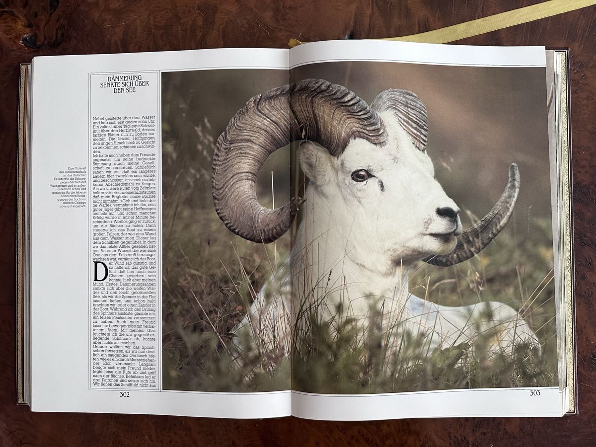 Libri: Zauber der Jagd Bildband Buch – Usato da Bassersdorf venduto da swadrone 4