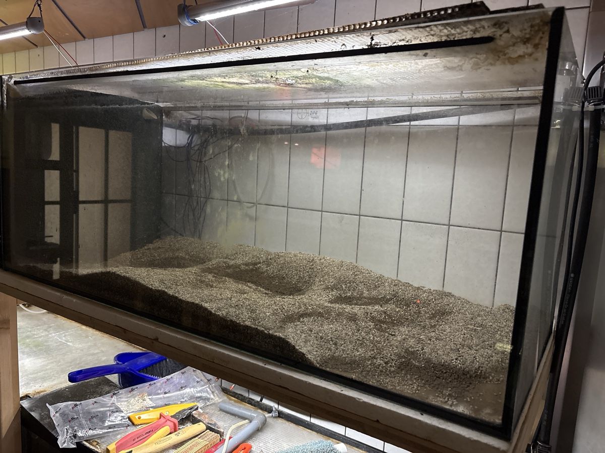 Aquarium: Aquarium Zuchtregal – Gebraucht aus Gais von Marcogais 2