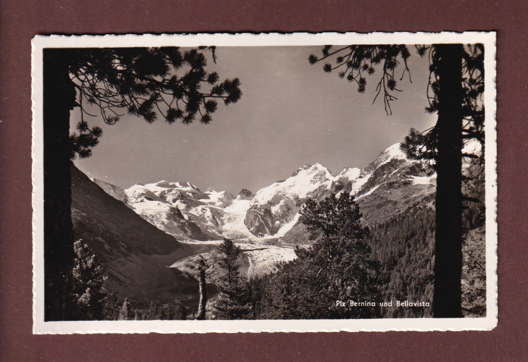 Cartes postales: PIZ BERNINA - Bellavista – D'occasion à Pully par nicecards-shop