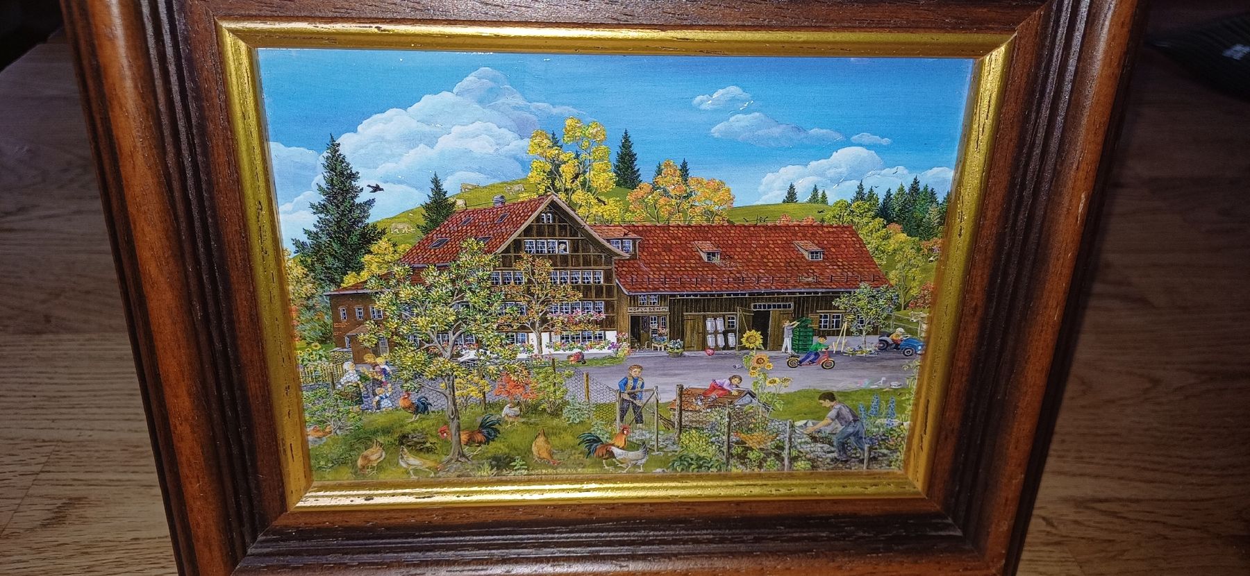 Foto & Immagini: Schönes Appenzeller Bild – Usato da Flawil venduto da Naphtali 9