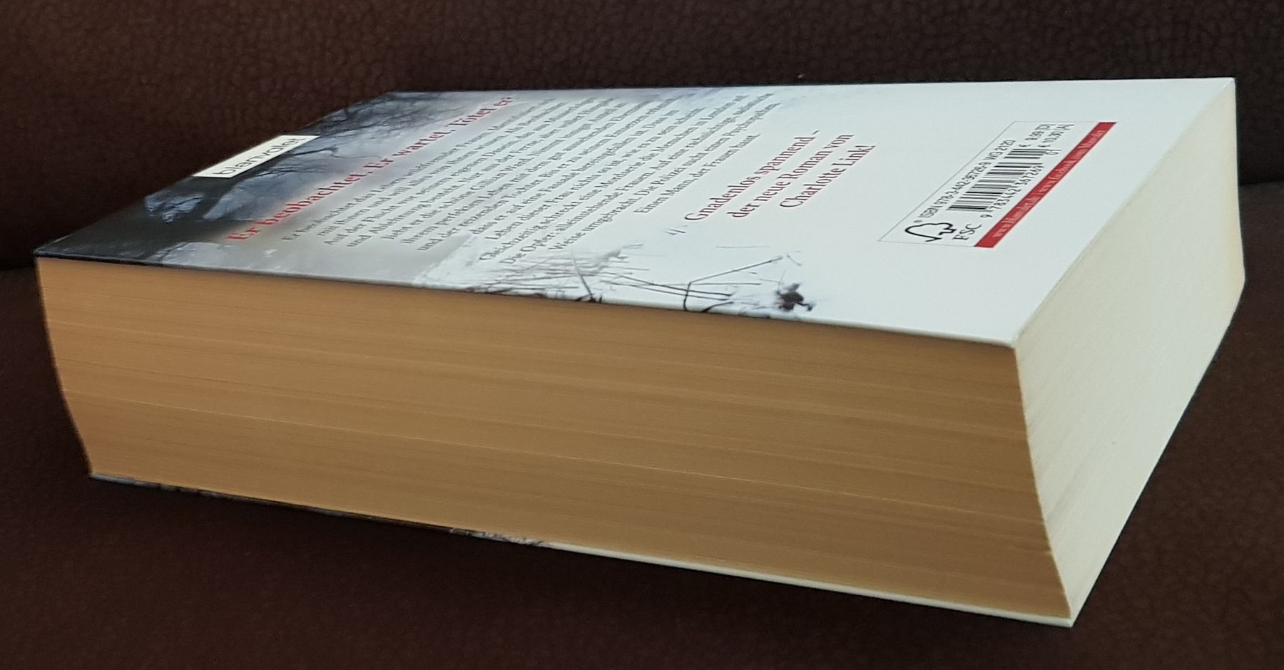 Bücher: Buch: Der Beobachter von Charlotte Link – Gebraucht aus Zürich von sb_t28m 2