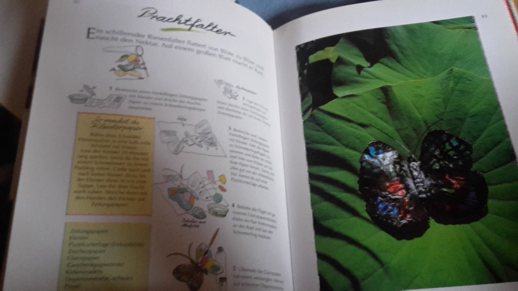 Livres: Buch Bastelspass – Neuf (Voir description) à Spiegel b. Bern par Flamingo07 2