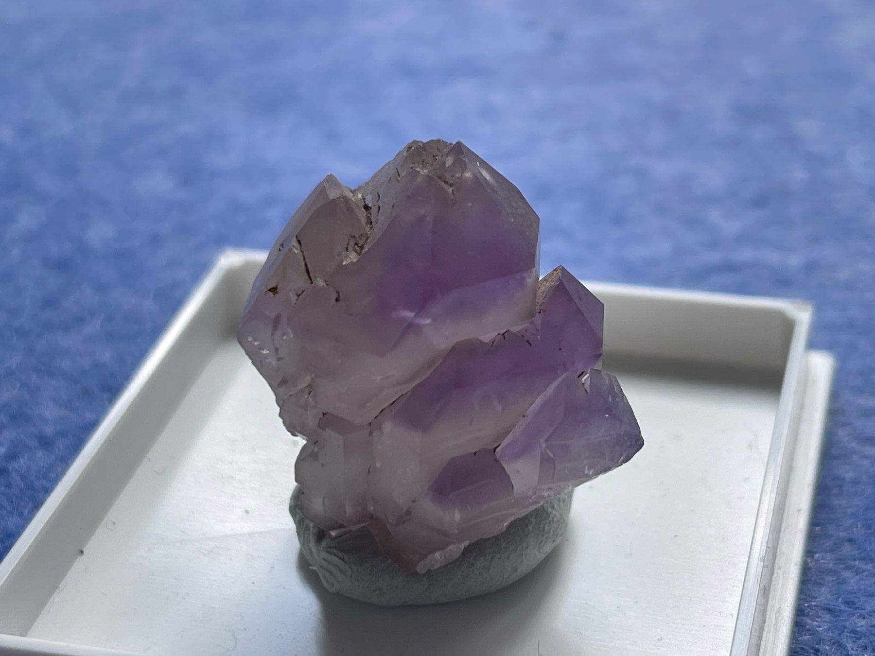 Minerali & Pietre curative: Amethyst Binntal CH – Nuovo (secondo la descrizione) da Winkel venduto da cma_df88 2