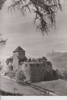 Vaduz  FL  -  Schloss mit Falknis      um 1952