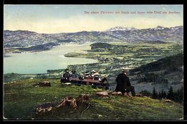 AK Zürich, Bergpanorama mit Zürichsee