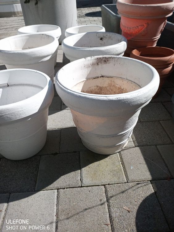Runde Plastik Blumentöpfe in diversen grössen. Kaufen auf Ricardo