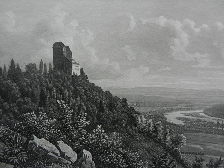 Gravures: Wildegg von Triner – D'occasion à Risch par Rischli15 1