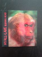 Myall-Lake - Burning Head (Swiss Rock)