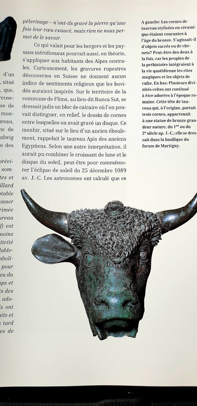 Libri: la Suisse préhistorique – Usato da Hauterive NE venduto da Belem 2