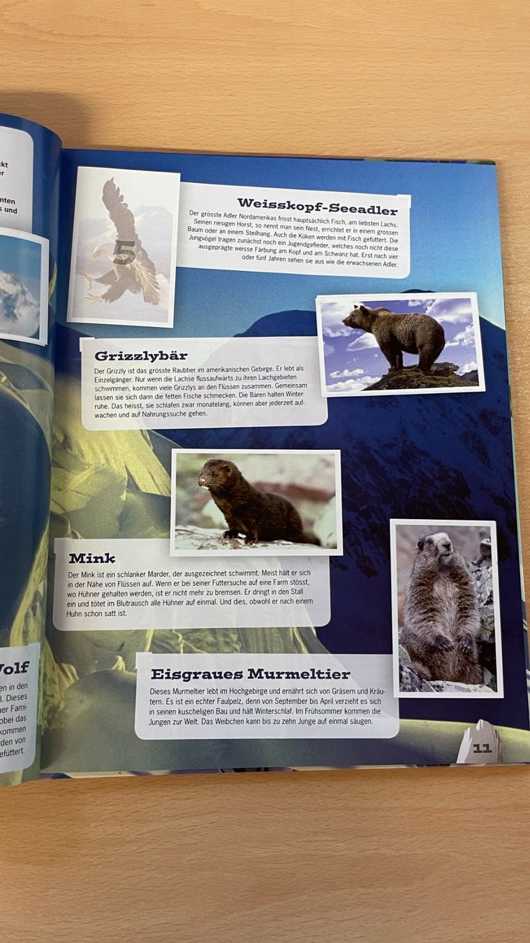 Libri: Mountain Mania - Abenteuer Bergwelt – Usato da Glattfelden venduto da markweb 4