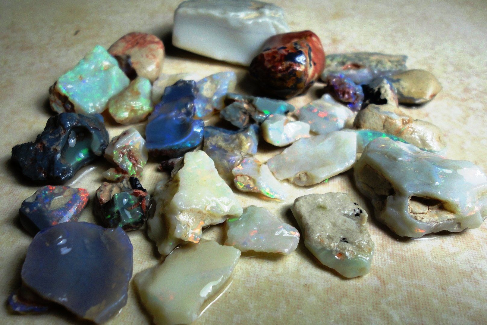Pietre preziose: Opal LOT Lightning Ridge 231ct Natur – Nuovo e nell'imballaggio originale da zuerich venduto da Jewlsdesign 4