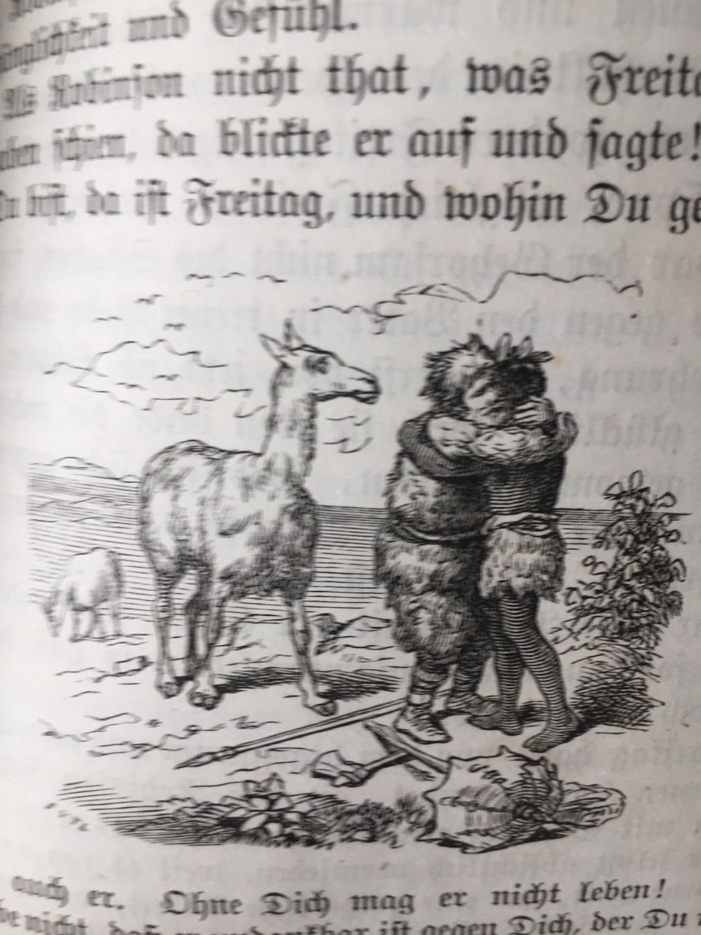 Libri: Robinson der Jüngere 1889 – Usato da Gerlikon venduto da jabadabadu 7