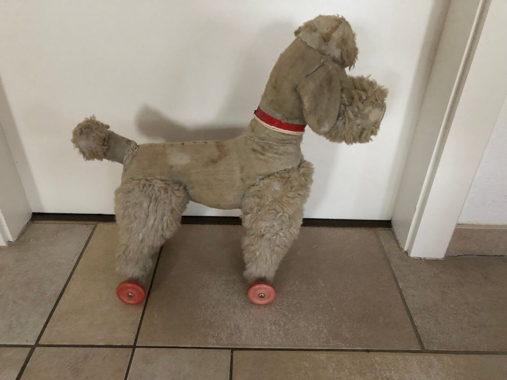 Très ancienne peluche petit caniche à roulettes Kaufen auf Ricardo