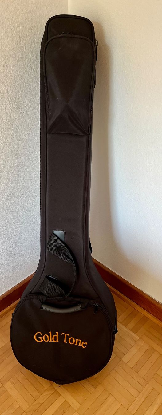 Strumenti musicali: Gold Tone MN-150 LN – Usato da Winterthur venduto da iri_9qr6 5