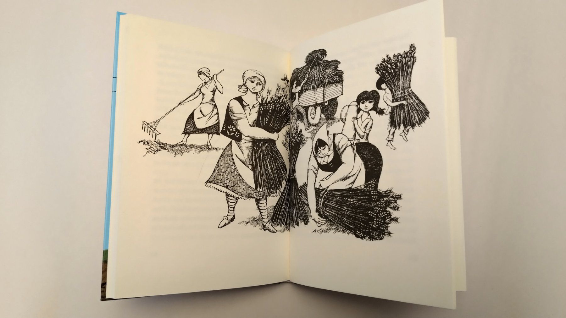 Bücher: Otfried Preussler / Vogelscheuche Thomas Vogelschreck / Buch – Gebraucht aus Bellach von JingleJerry 6