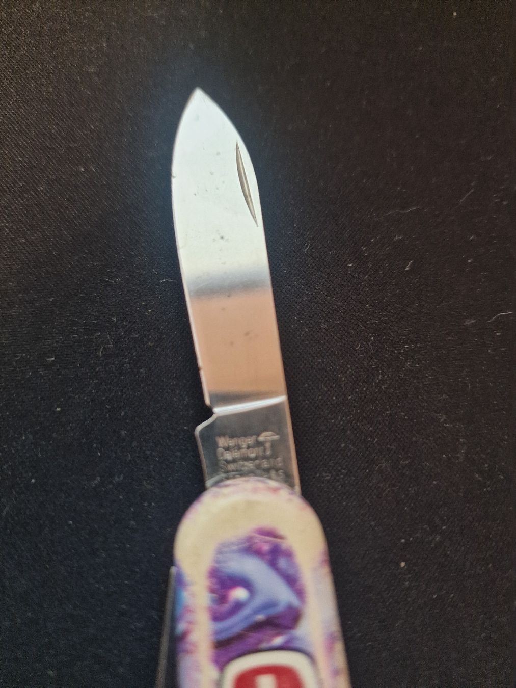 Wenger Taschenmesser: Wenger Sackmesser – Gebraucht aus wallisellen von Murat-440 2