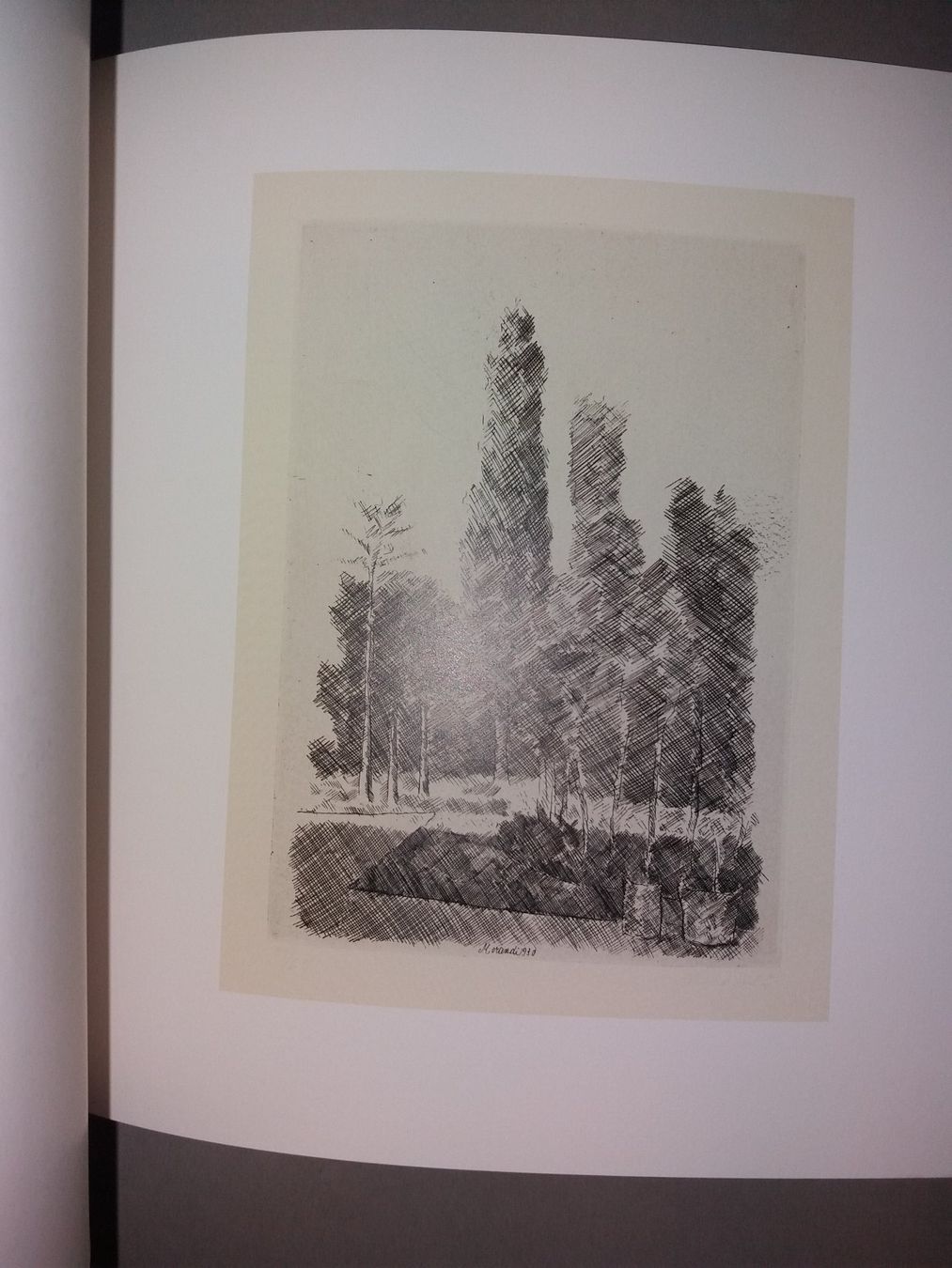 Livres: KUNSTKLASSIKER Giorgio Morandi – D'occasion à Welschenrohr par Regool 5