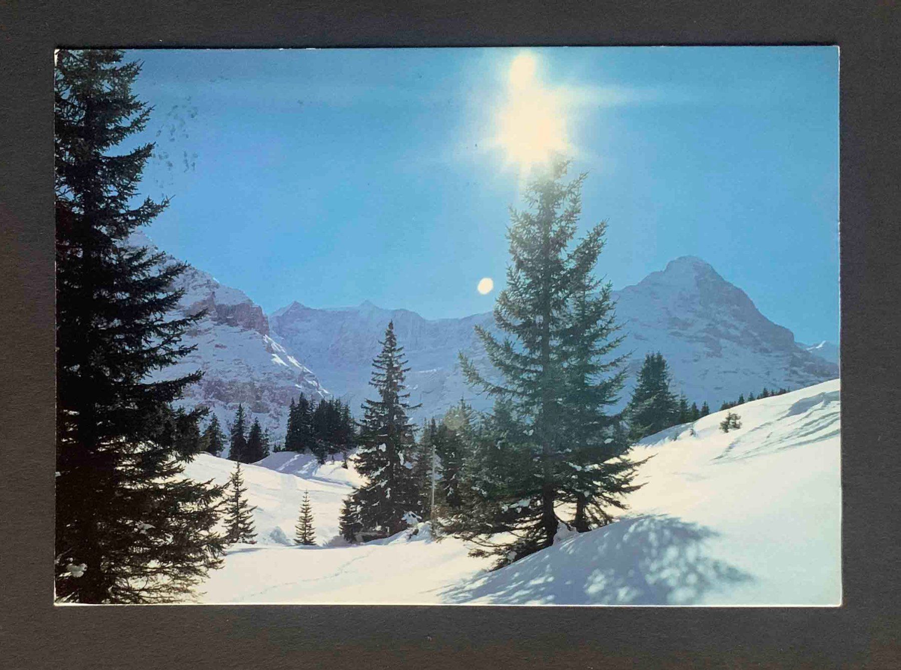 Cartoline postali: AK Grindelwald Fiescherwand Eiger – Usato da Goldau venduto da artelier1