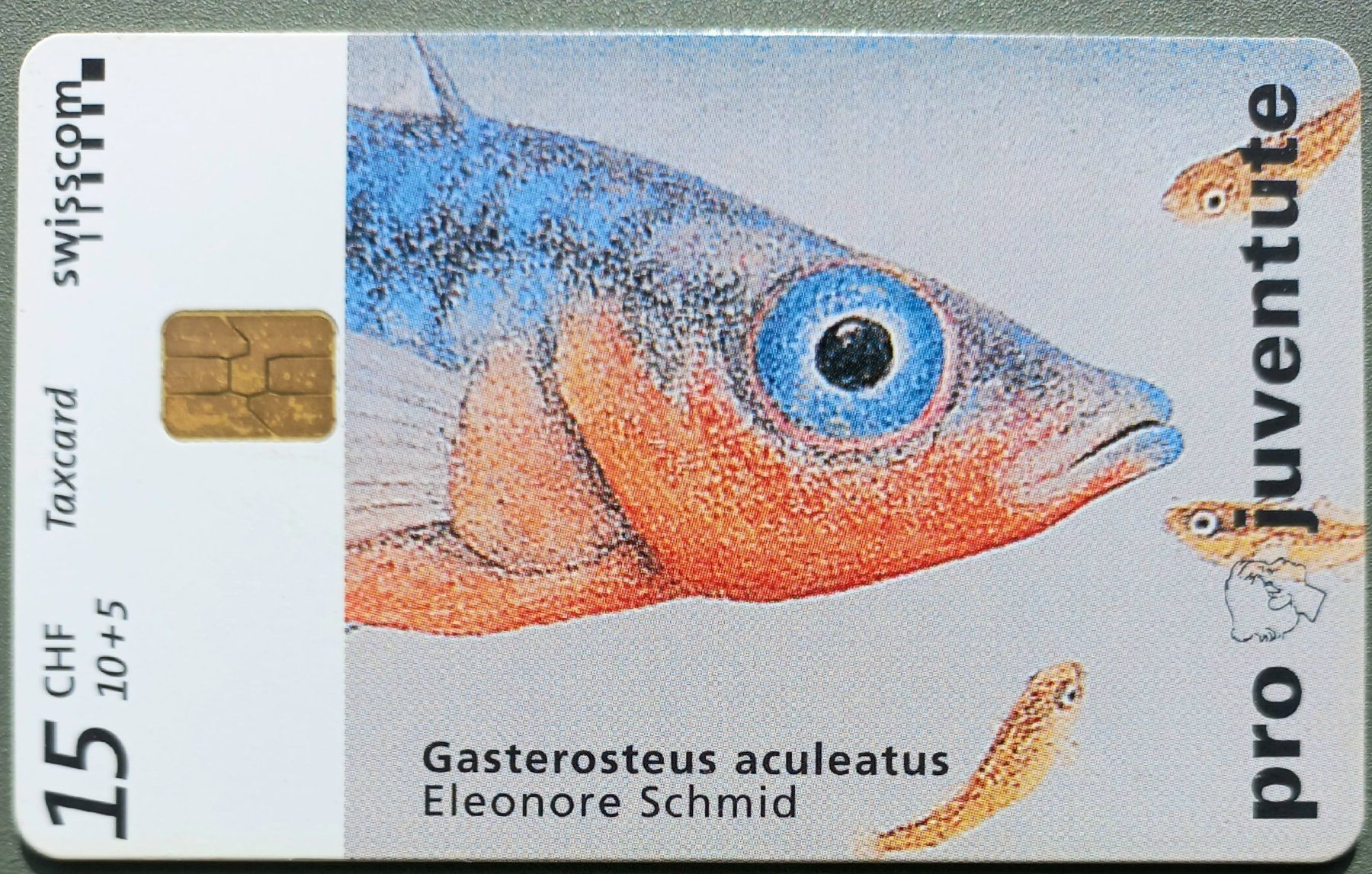 Swisscom Schede telefoniche: Taxcard - Pro Juventute 1999 - CH – Usato da Niederuzwil venduto da lubimaja