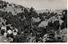 Rigi