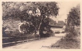 Brüttelen BE Ortsansicht Aebiheim , 1949