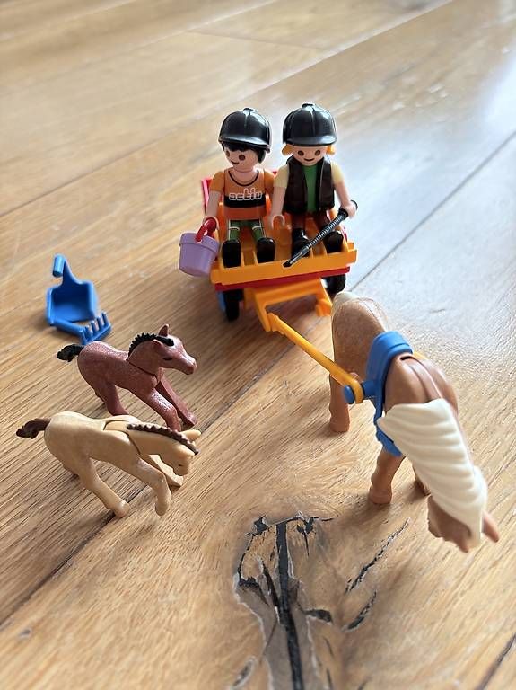 Playmobil Giocattoli: Reiter-Set von Playmobil – Usato da Jegenstorf venduto da momonika 1
