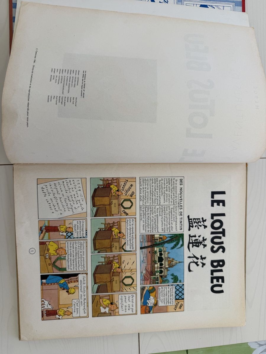 Fumetti: TINTIN : Le Lotus Bleu – Usato da Savigny venduto da Matgab94 5
