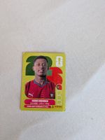 Panini Bild POR 7