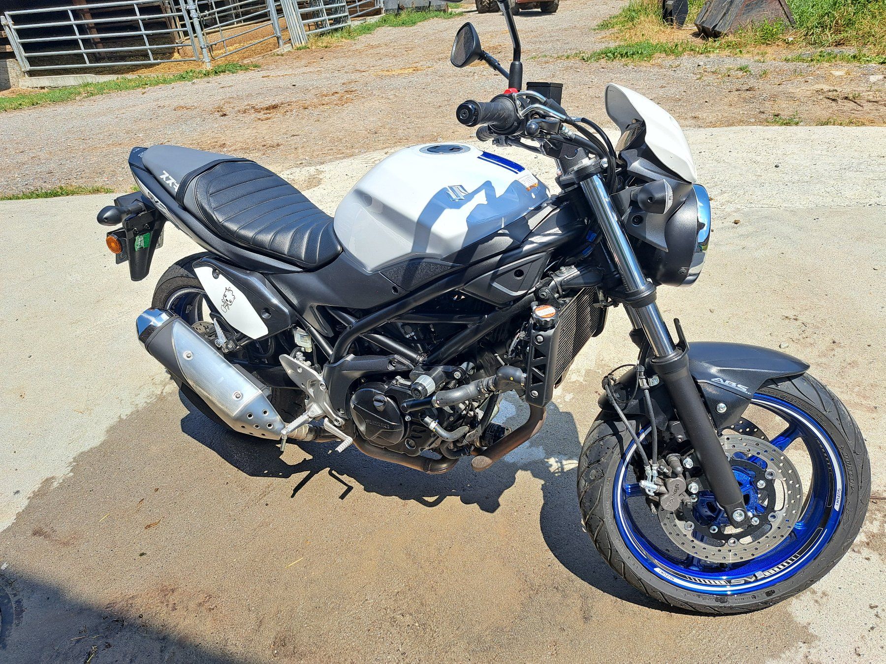 Suzuki Strada: Suzuki SV 650, guter Zustand – Usato da Hünenberg venduto da sve_b5x8 3