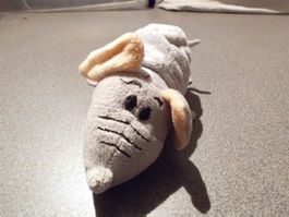 Maus/Tiger, Flipa 200