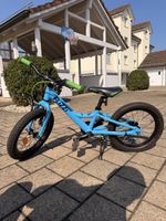 Kinderfahrrad Flizzi 16“ Riemenantrieb