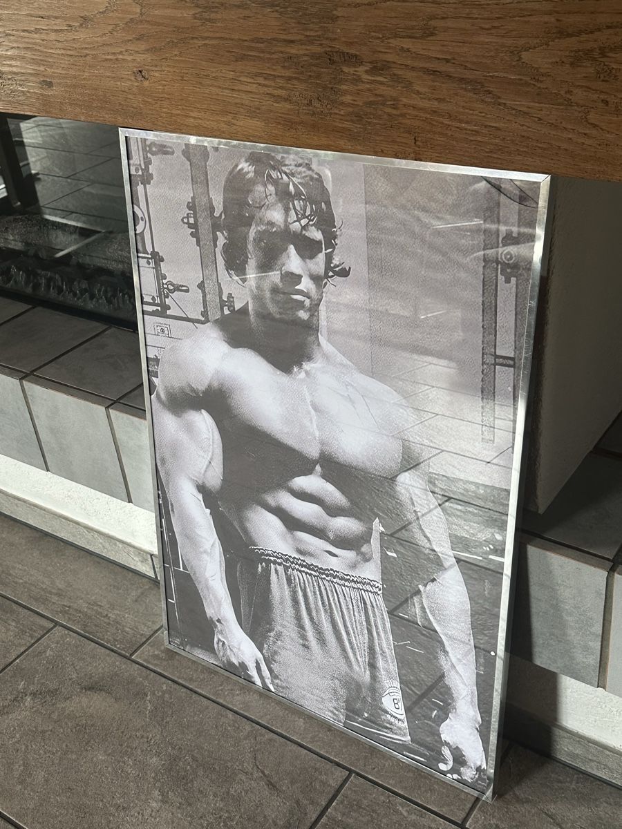 Foto & Immagini: Arnold Schwarzenegger Poster, gerahmt – Usato da Buchs SG venduto da leevin01