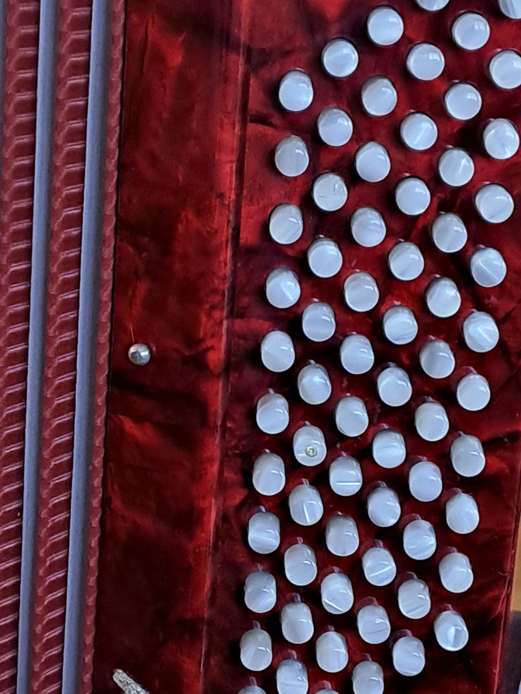 Strumenti musicali: Handorgel, chromatisch,Harry Pauli,Junior,  rot – Usato da Wislikofen venduto da beatriceelias 2