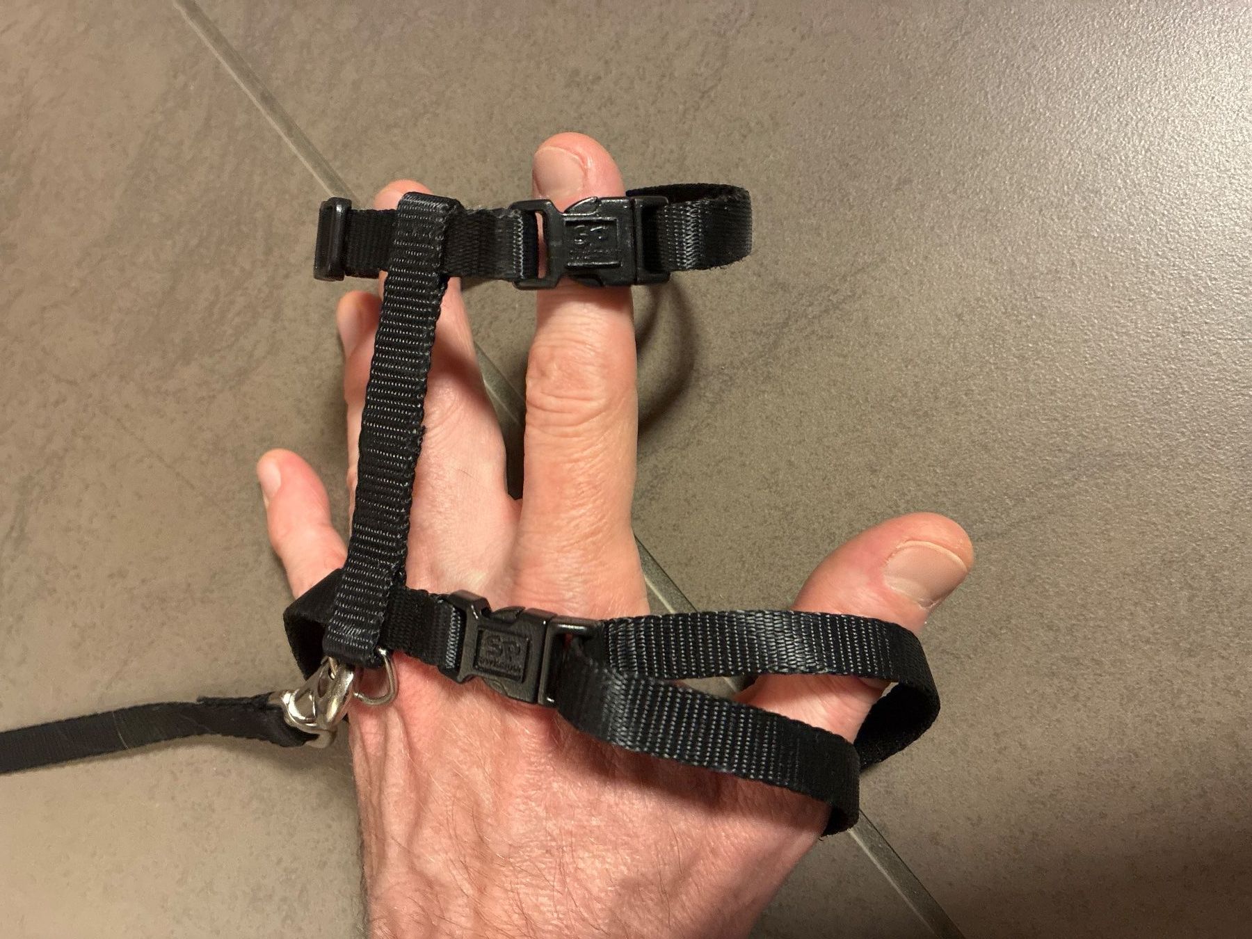Leine & Halsband: Katzenleine mit Gschirr – Gebraucht aus Guntershausen von Gloominati 1