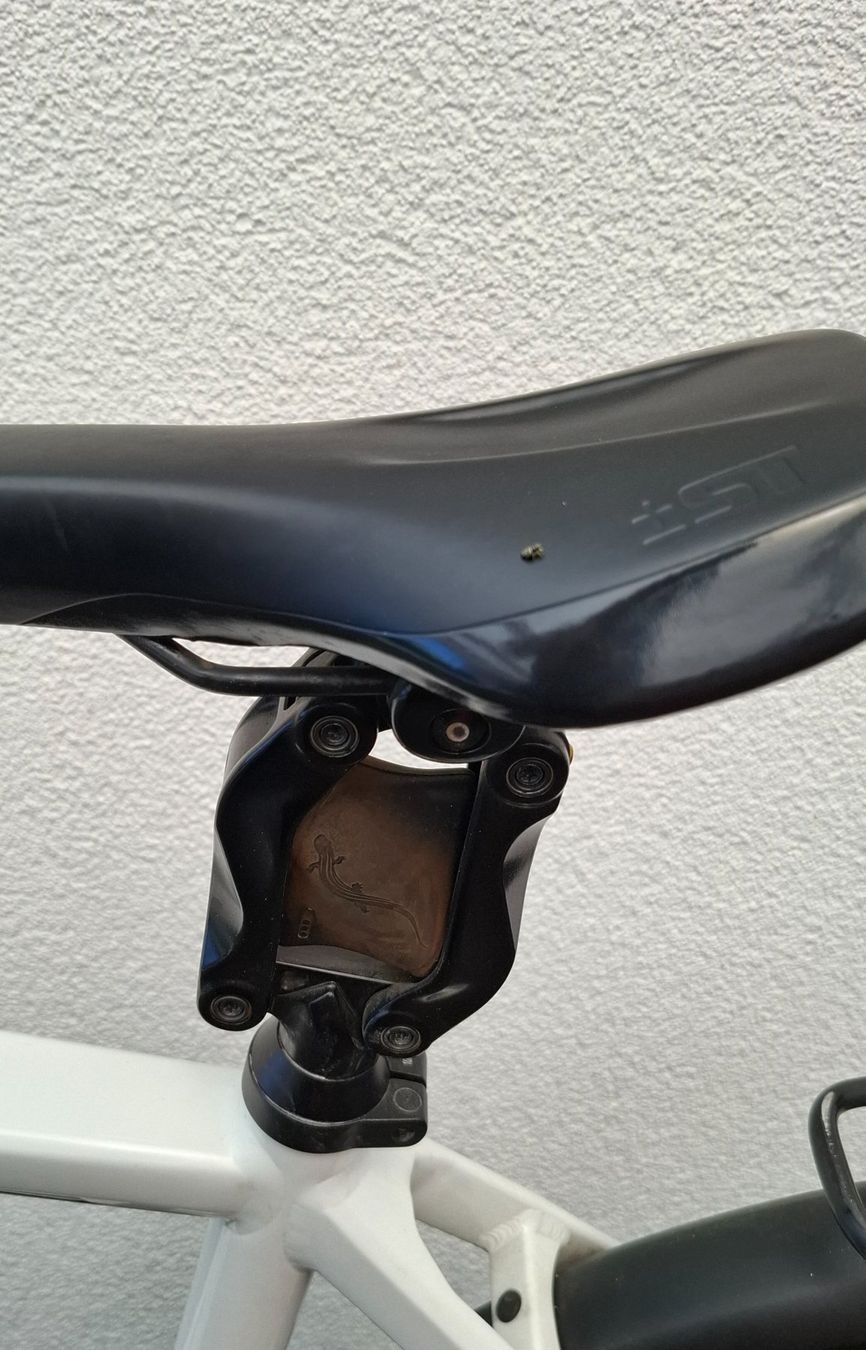 Stromer Biciclette: Stromer ST2 – Usato da Faoug venduto da Franz54 5