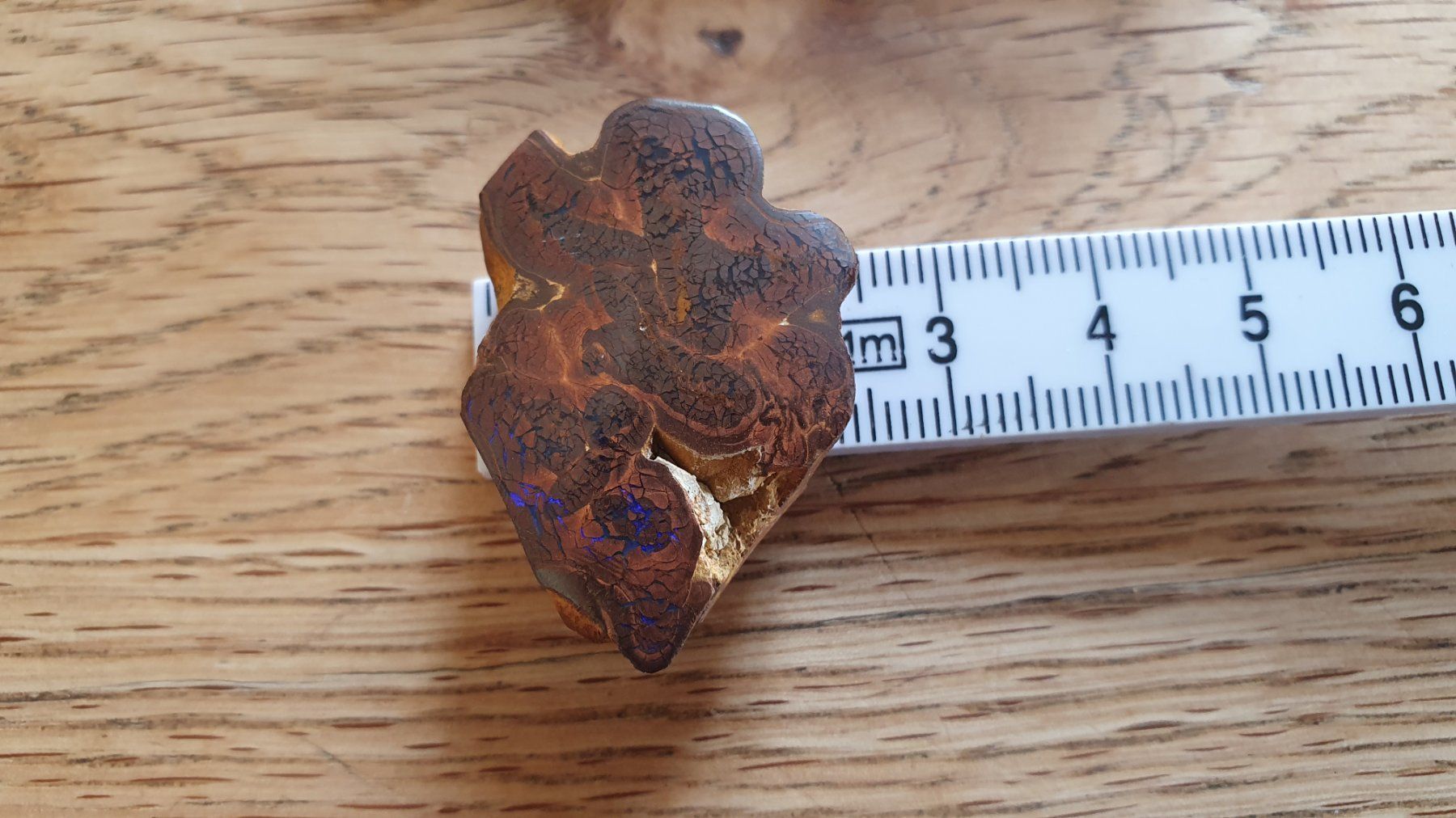 Pietre preziose: Boulder Opal – Usato da Flawil venduto da Naphtali 4