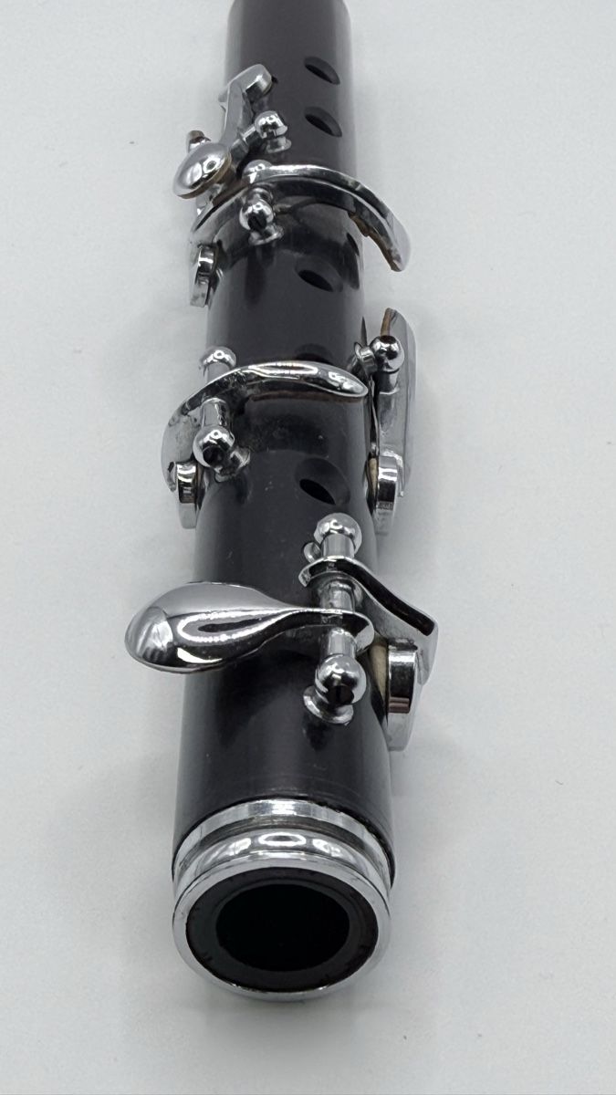 Strumenti musicali: Kunststoff Piccolo – Usato da Basel venduto da stalders72 1