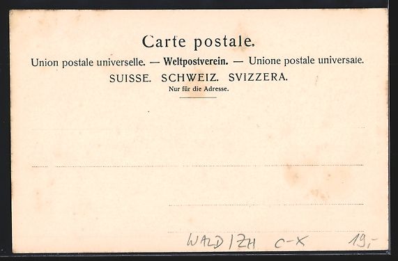 Cartes postales: Wald /ZH, Povalp, Bauernhäuser und Küh – D'occasion à Berlin par bartko-reher 1