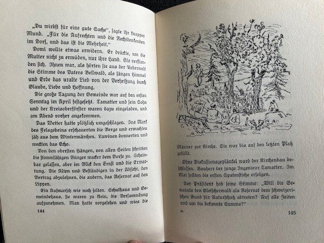 Johannes Jegerlehner, Gletscherwald, signiert, Erstausgabe Kaufen auf