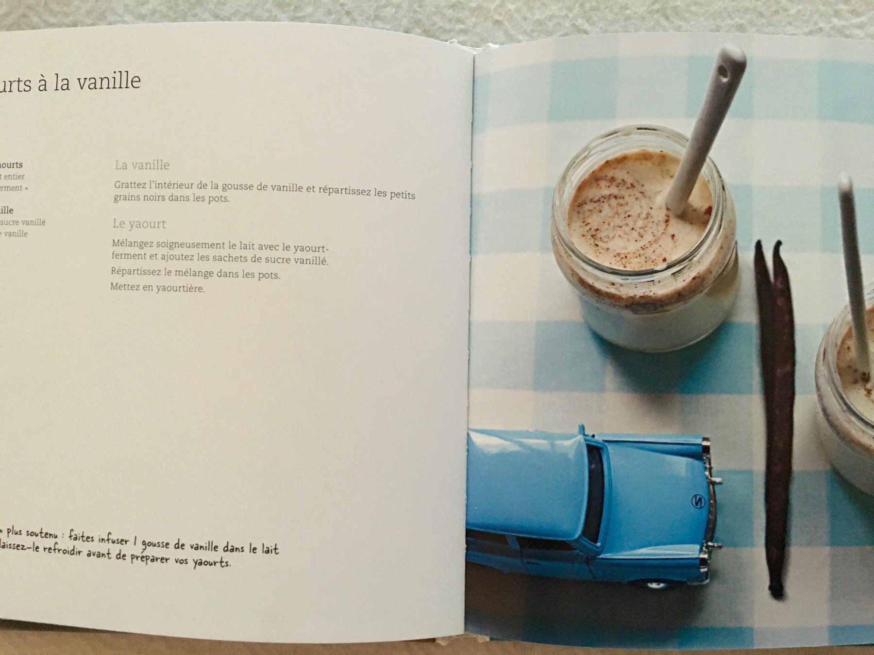 Libri: Livre de recettes pour yaourts – Usato da Carouge GE venduto da pierre956 3