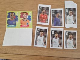 Panini Sticker coca cola